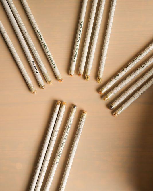 Plantable Seed Pencils | Waste Paper